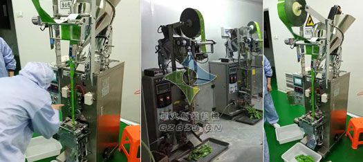 Ʊ`֥Ԅ(dng)bC(j)/߷۰bC(j)/`֥ӷ۰bC(j)